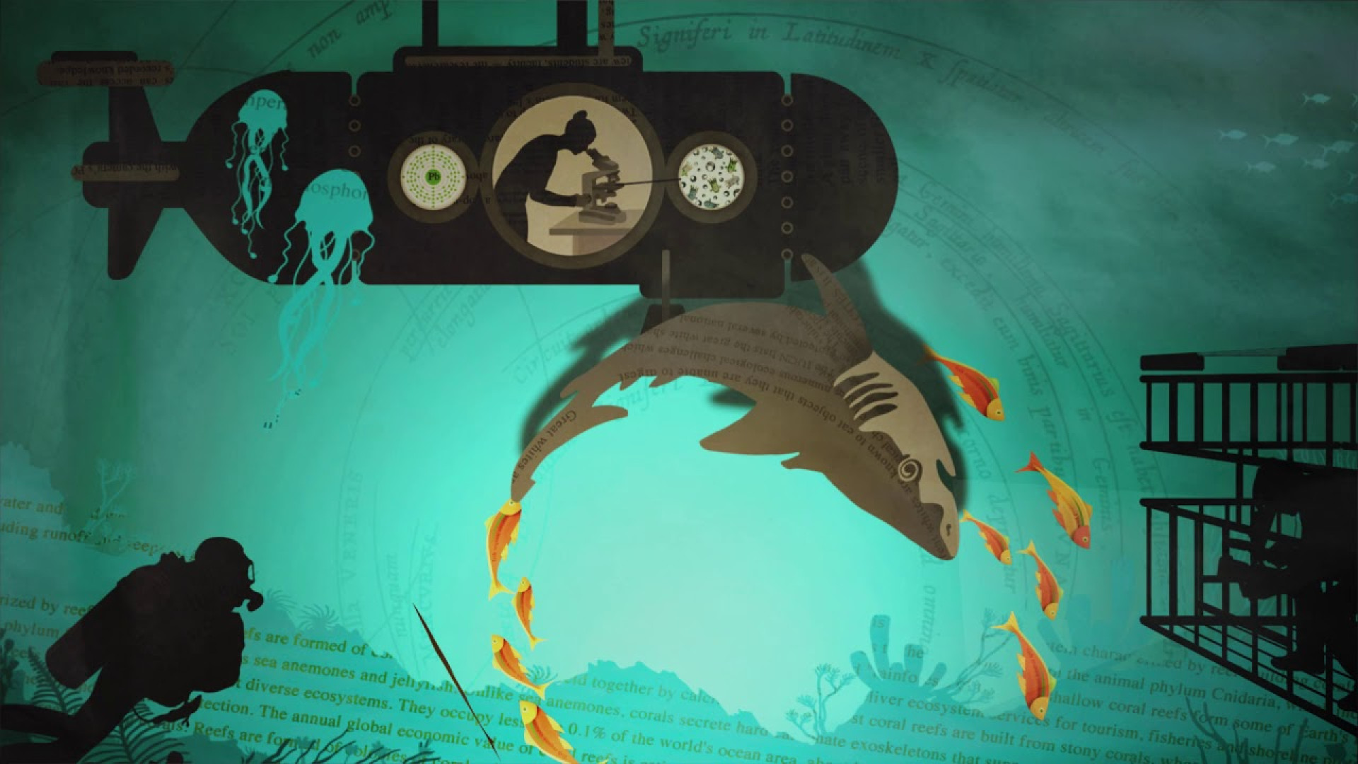 Library Next Video Background Image